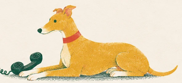 The whippet lies on the grass beside an old telephone receiver, head up, waiting.